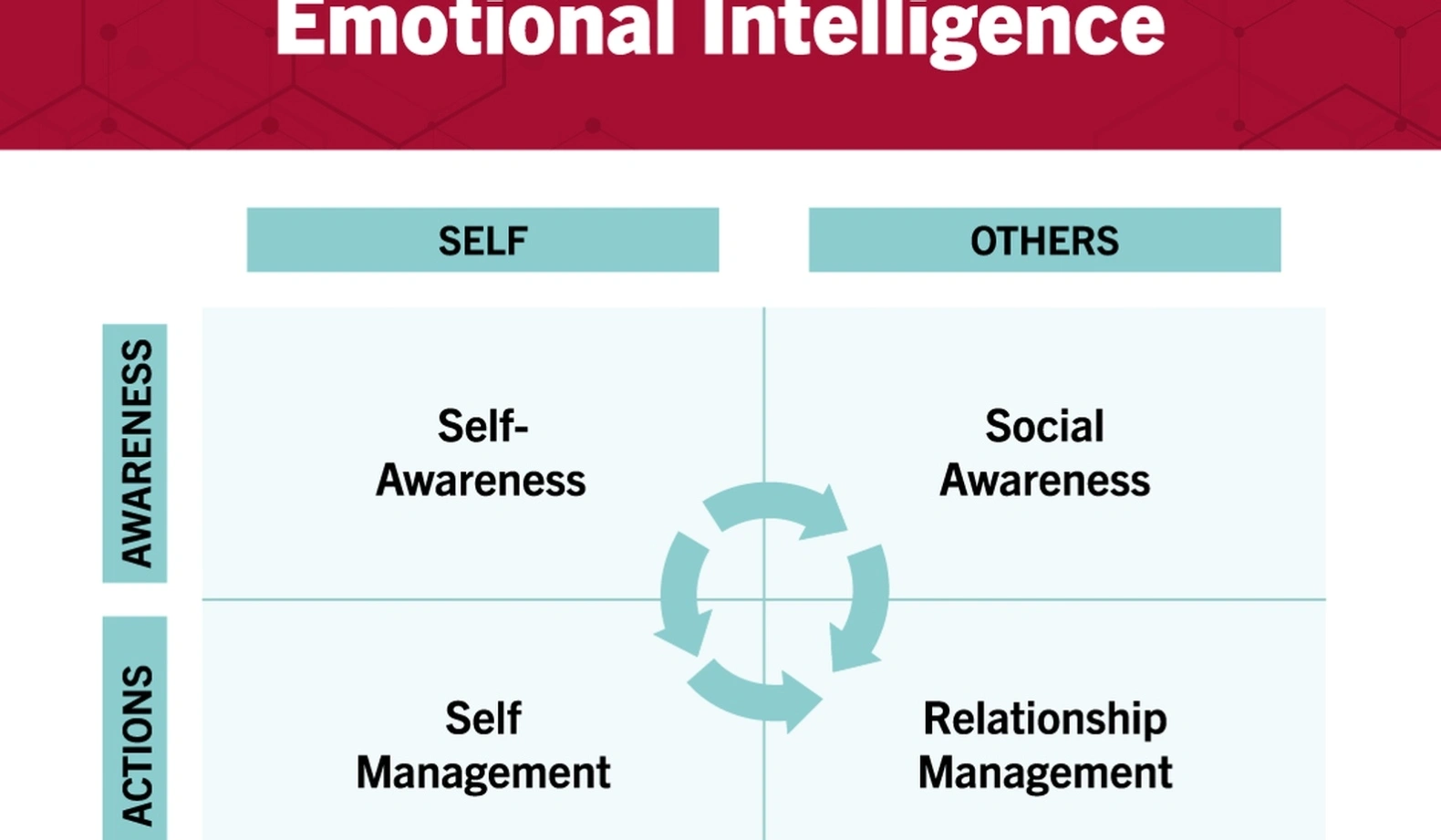 Emotional intelligence in business coaching